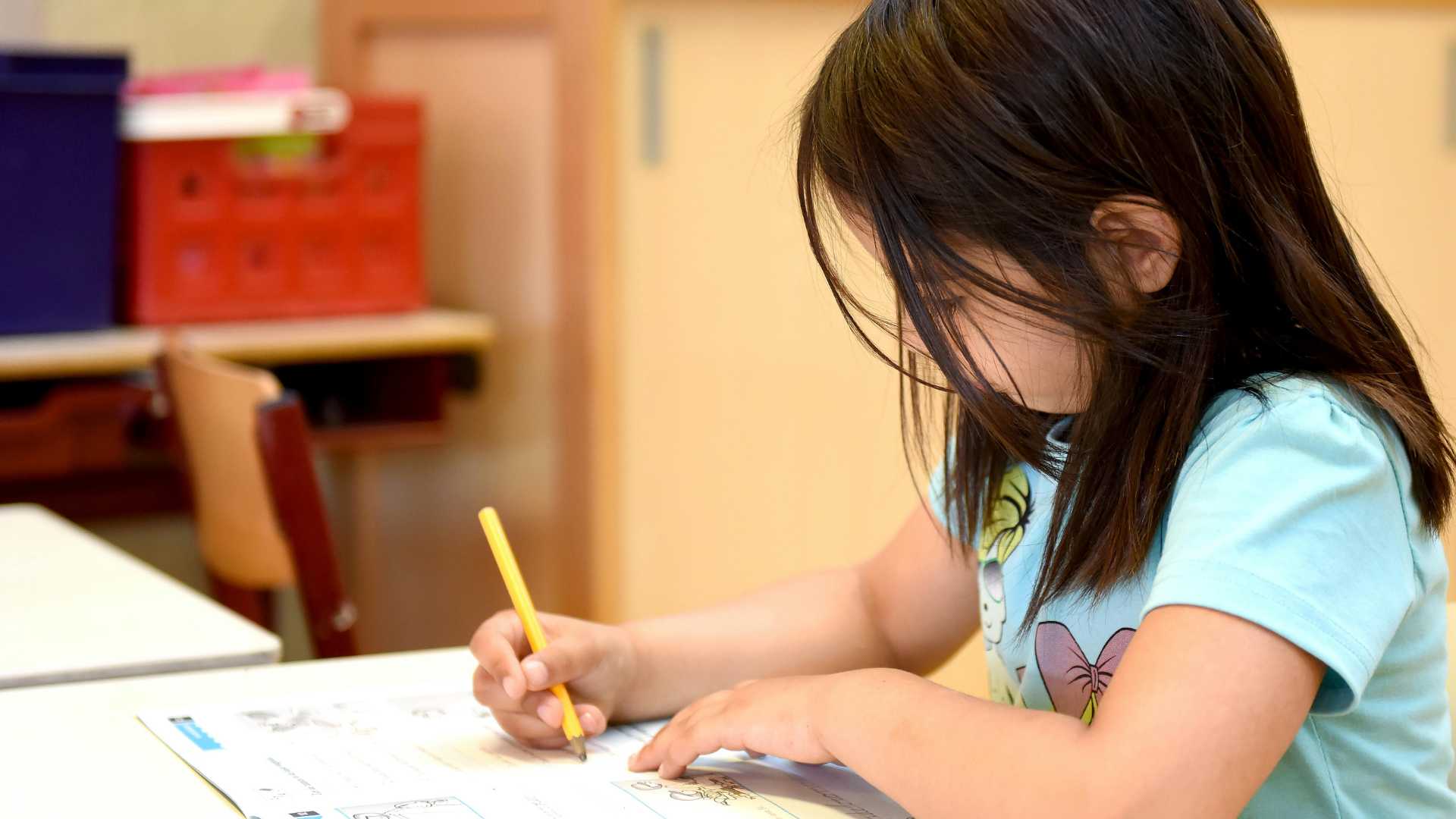 PEP-R / PEP-3 (Psiko-Eğitimsel Profil Ölçeği)